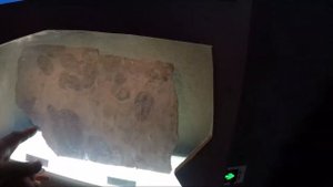 Шанхайский музей науки и технологий