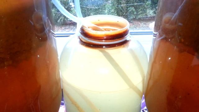 Вкусный рецепт грушевого вина в домашних условиях