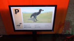 Электронные Этикетки в Краеведческом музее Пермского Края