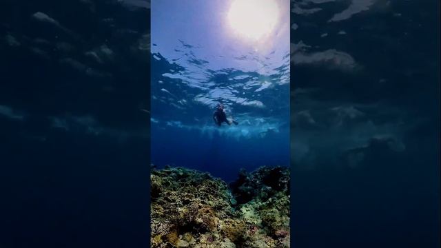 Amarina Jannah Resort & Aquapark ПИРС/ПОДВОДНЫЙ МИР  PIER/UNDERWATER WORLD   #travel #funny #tiktok