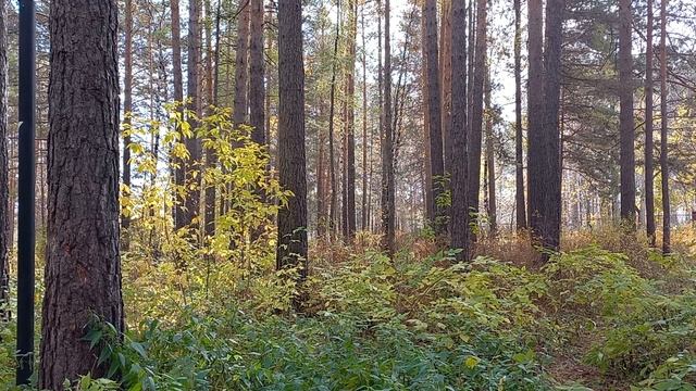 Важно знать об энергетических законах нашего мира! смотреть онлайн