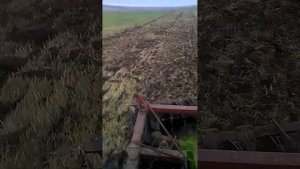 Навесная дисковая борона из одного крыла БДТ-7 в работе