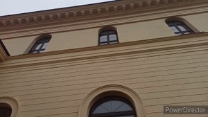 Криминальный Сочи
