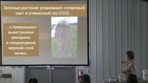 Кристин Джонс. Часть 7. Почва и как она создается.