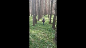 Парк Молодежный г. Прокопьевск 04.10.2024