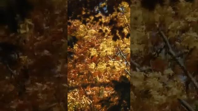 Как Научится Быть Благодарным смотреть онлайн