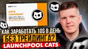 Как заработать новичку 10$ в день без трейдинга? LAUNCHPOOL CATS