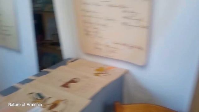 Дом-музей Ованеса Туманяна в Ереване смотреть онлайн