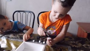 Создаем коллекцию насекомых  #коллекция  #насекомые  #коллекциянасекомых своимируками