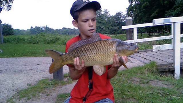 nigel's vissen смотреть онлайн