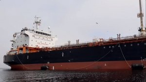 Отдых на море "ДИКАРЯМИ"  в Славянке 2022 год. #отдых #море