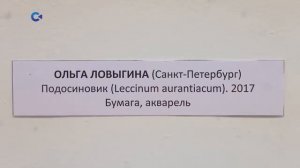 Выставка Растения глазами художников в Петрозаводске