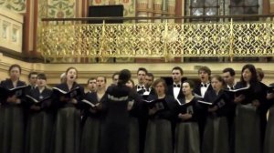 Караваны птиц надо мной летят, Камерный хор МФТИ