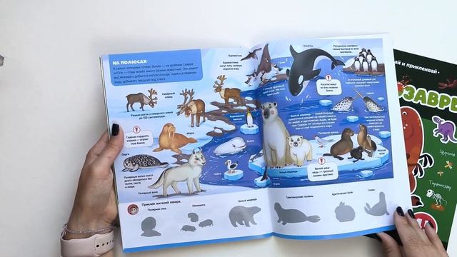 Книжка с наклейками Динозавры и Животные Malamalama Детская энциклопедия смотреть онлайн