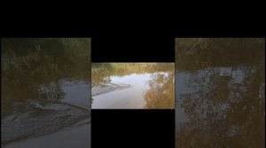 рыбалка на нахлыст река Узола