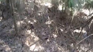 Место боя под Андреаполем в январе 1942 года