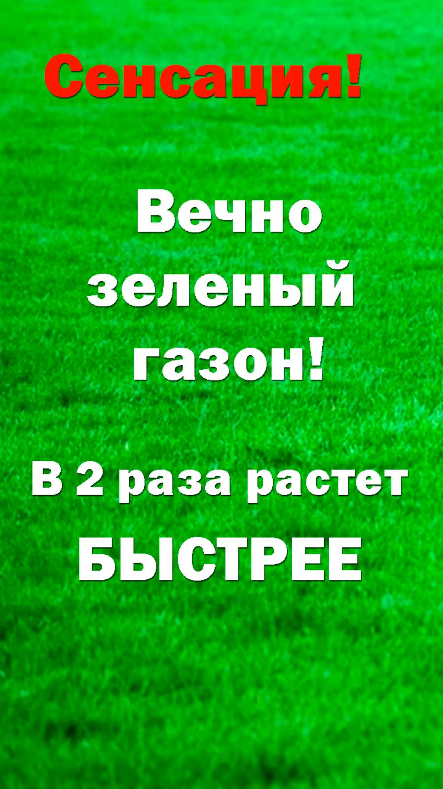 ИДЕАЛЬНЫЙ ГАЗОН. Новый способ