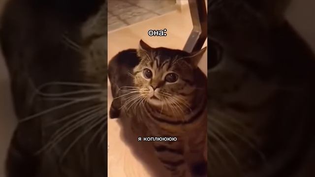За улыбкой мечты приходите в Конфиденцию✨