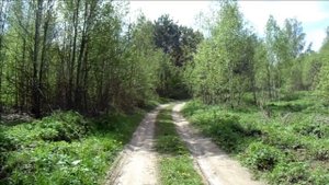 На берегах Осьмы Деревня Станище Вяземского района