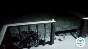 Утро в селе 16.11.2022