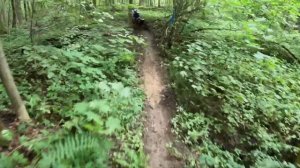 Путь Чапая 2024: как выиграть квалификацию и завалить финал