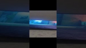 stray  полное прохождение игры 5.1 усатый зэк