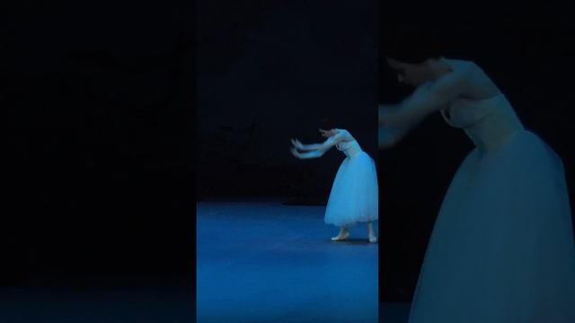 Krysanova #ballet #shortvideo #russianballet #balletpost #choreography #balletlife #giselle #art