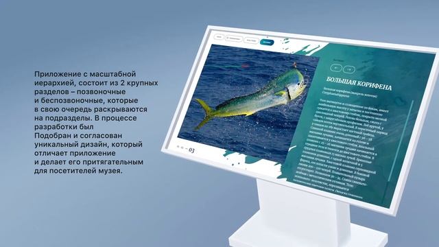 Интерактивное приложение «Фауна моря» для Холмского музея | Vinchi Interactive