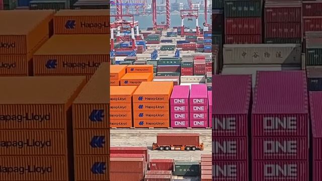 Люди: Роботы никогда не смогут заменить людей 

Тем временем логистический центр в порту Гуанчжоу: смотреть онлайн