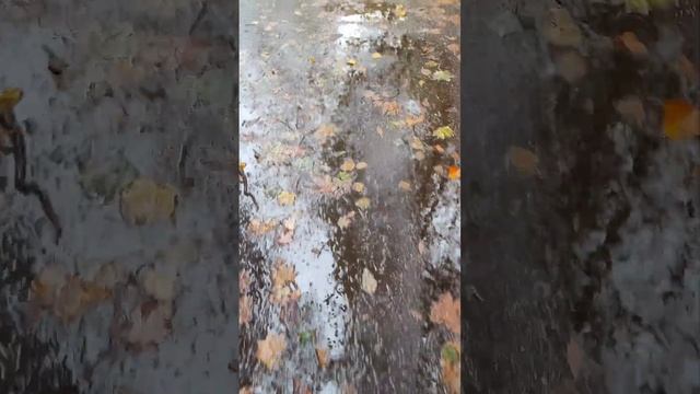 Осенняя пора...