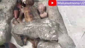 Сажида қилган Фиравн жасади хозирги кўриниши