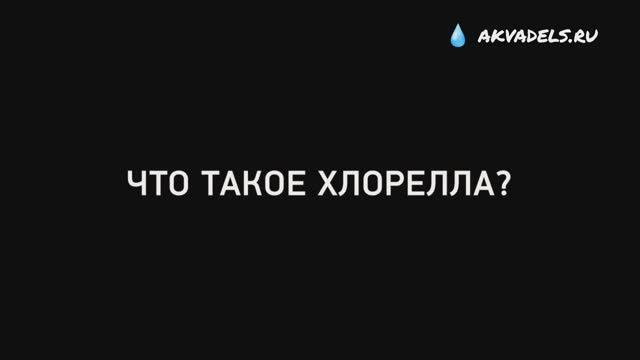 #Хлорелла - Препарат против роста водорослей в пруду. Насыщает воду кислородом‼️  АкваДелс-Казань