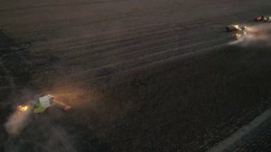 Уборка подсолнечника 2024. Выгрузка на ходу.