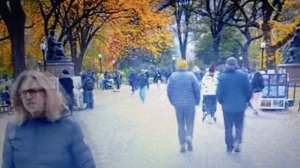 Разновидности хейтеров