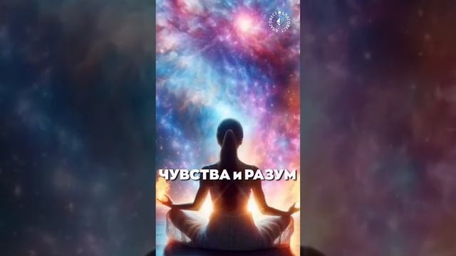 #БлагоВест ✴ ЧУВСТВА и РАЗУМ