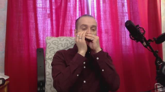 Как играть на губной гармошке_ обертоны контроль тембра_ Б.Плотников