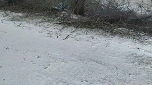 пила по дереву Гросс пиранья 550 см