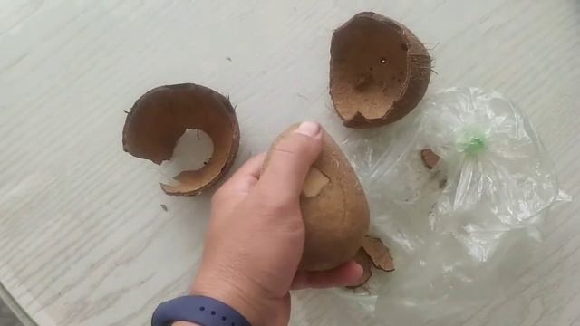 Как разбить кокос?