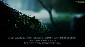 Абдуррахман масад