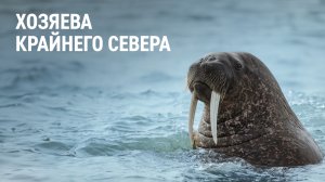 Хозяева Крайнего Севера