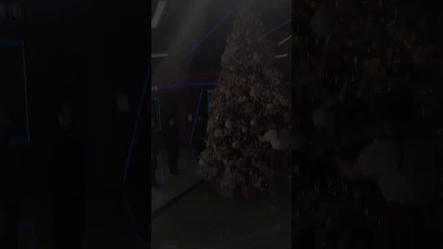 Наряжаем 4,5 метровую елку в Екатеринбурге смотреть онлайн