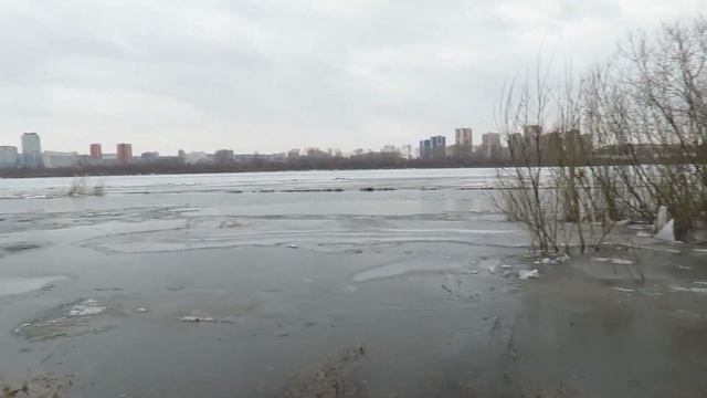 Уточки у дер. Красная, на Томи. Кемерово