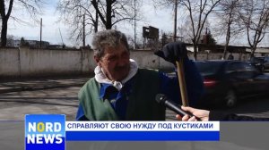 Справляют свою нужду под кустиками
