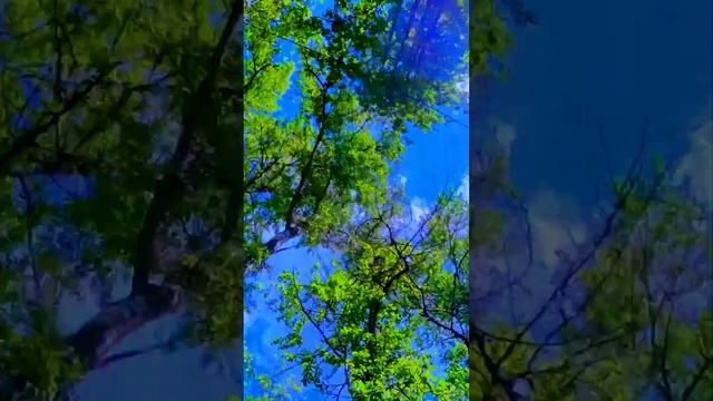 FAKE DRONE SHOTS \ ФАЛЬШИВОЕ ВИДЕО С ДРОНА \ КРАСИВЫЙ МАЙ #shorts  #youtubeshorts  #insta360