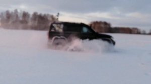 Кони в снежном поле