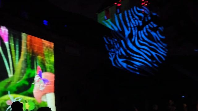 фестиваль света в Муртен| сказочный город | украинцы в Швейцарии
