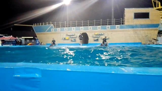 Дельфинарий Архипо-Осиповка!!! смотреть онлайн