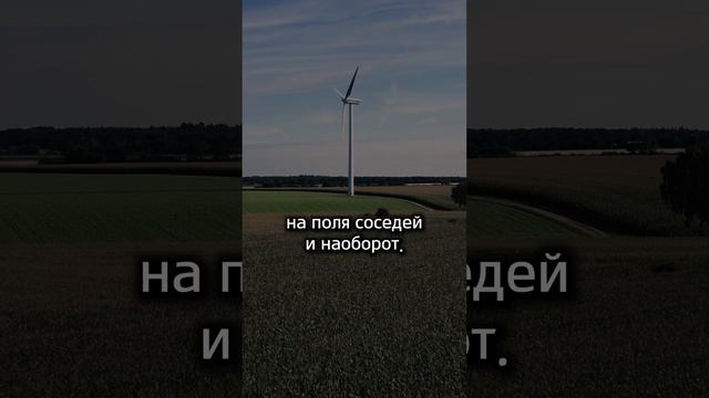 Фермер и кукуруза. Притча, саморазвитие