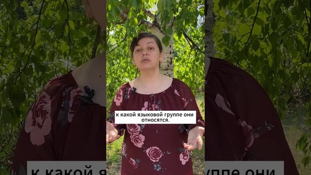 Как освоить любой язык мира за 2-3 месяца. #английский #английскийязык #алгоритмязыка #нейрометодика