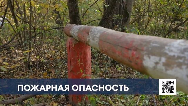 Нижнекамским дачникам напомнили о штрафах за сжигание травы